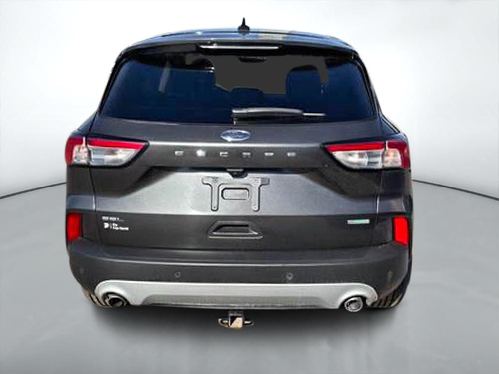 Ford Escape SEL 2020 d’occasion à vendre - 7