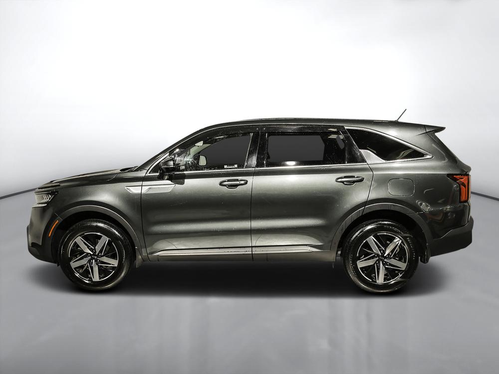 Kia Sorento lx premium 2021 d’occasion à vendre - 7