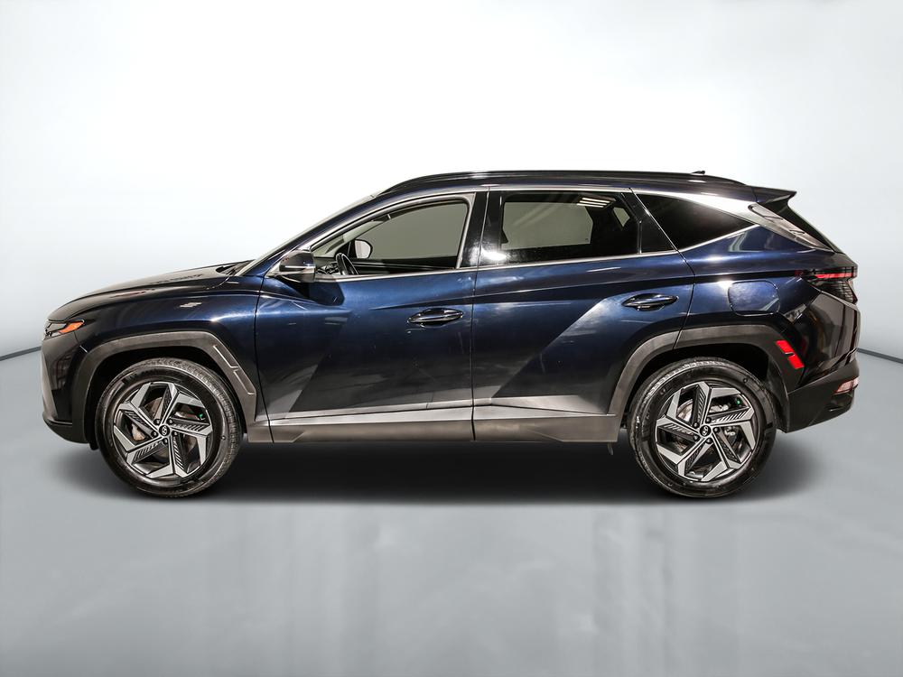 Hyundai Tucson hybride Hybrid Luxury 2022 d’occasion à vendre - 7