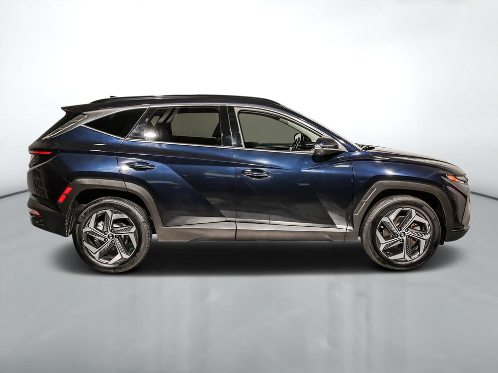 Hyundai Tucson hybride Hybrid Luxury 2022 d’occasion à vendre - 2