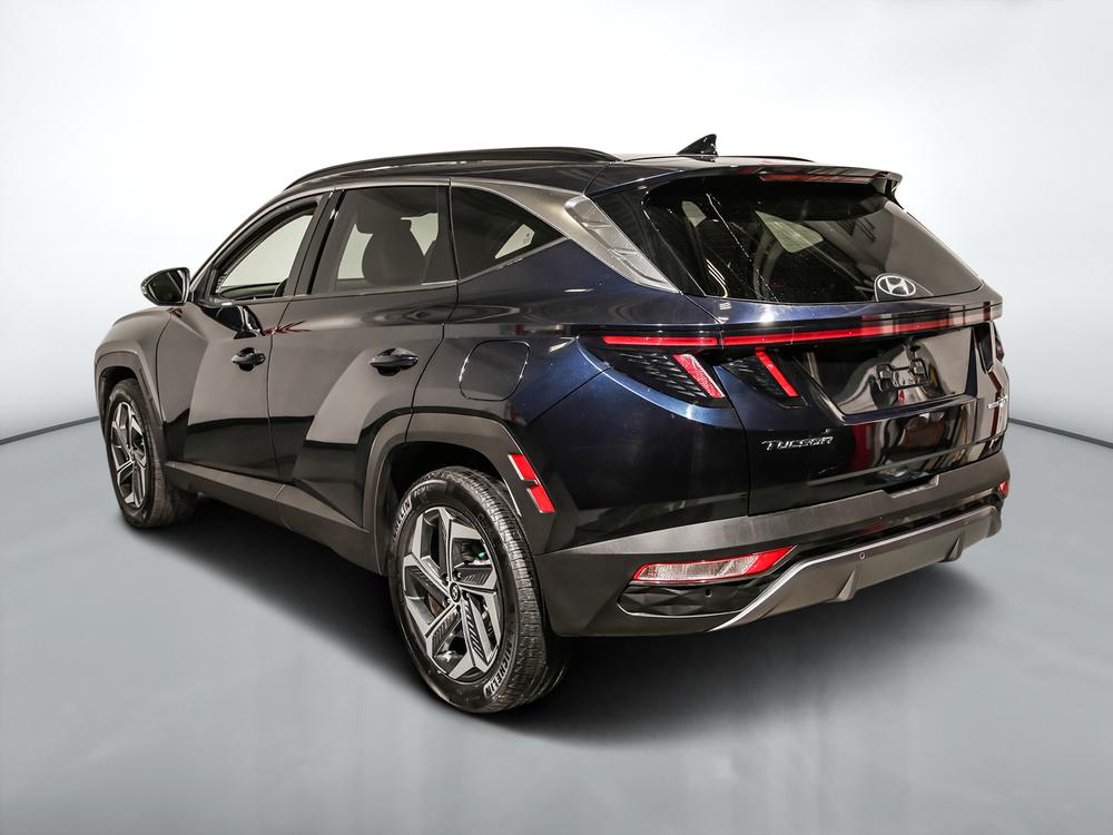 Hyundai Tucson hybride Hybrid Luxury 2022 d’occasion à vendre - 6