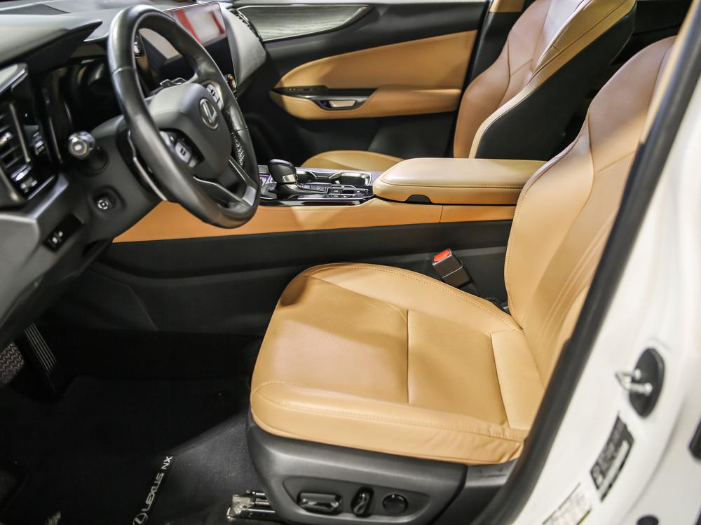 Lexus NX 350H 2023 d’occasion à vendre - 18