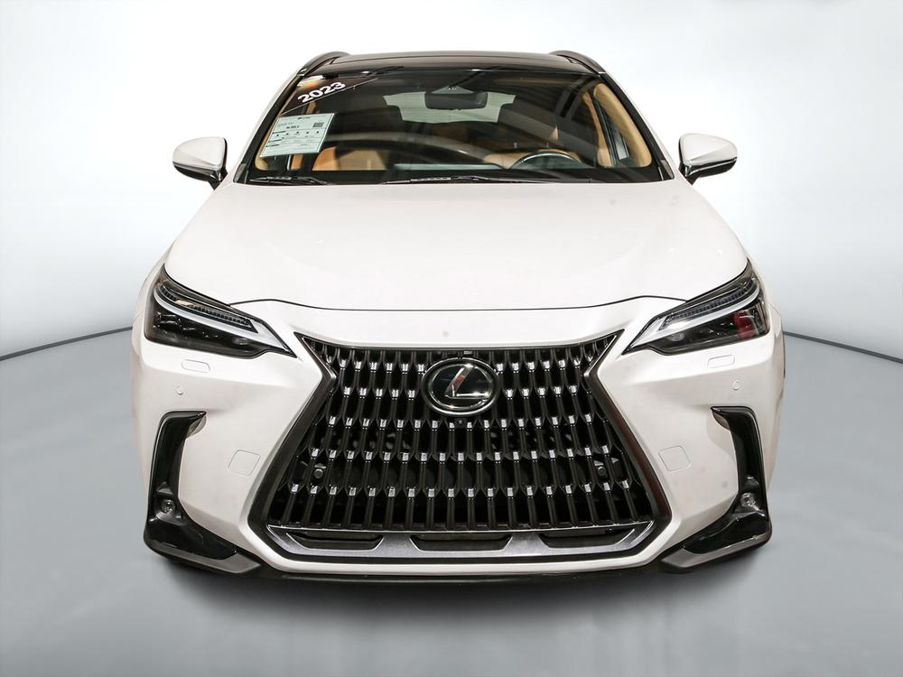 Lexus NX 350H 2023 d’occasion à vendre - 9