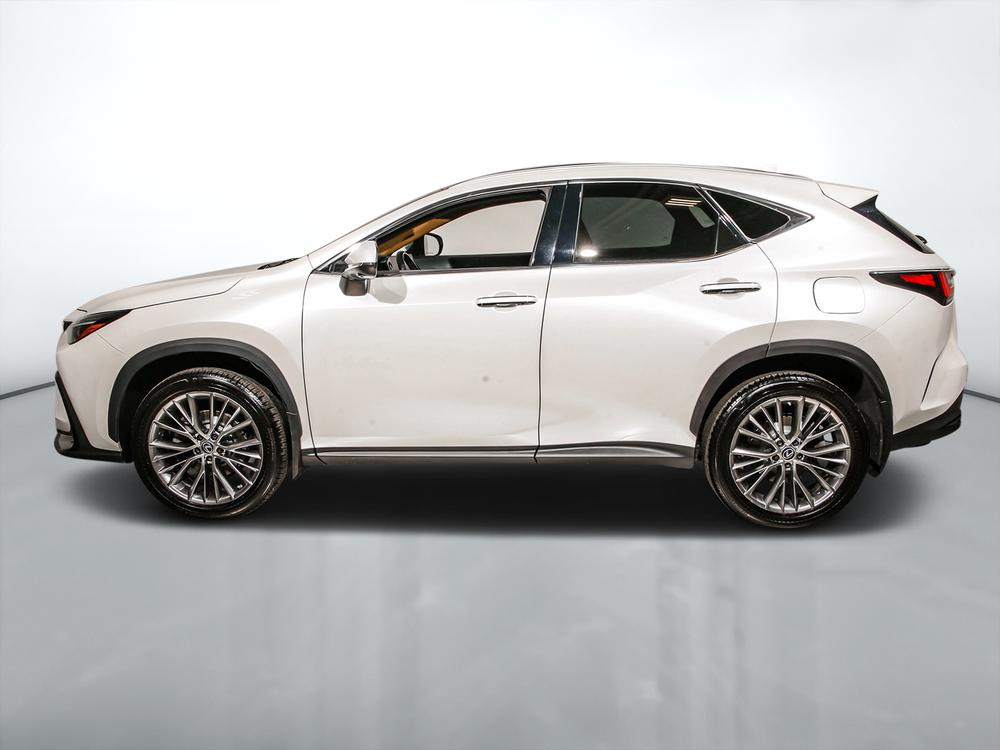 Lexus NX 350H 2023 d’occasion à vendre - 7