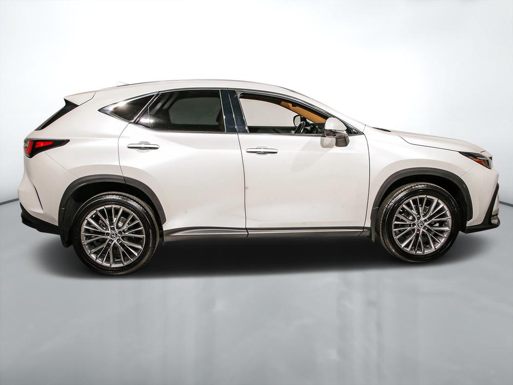 Lexus NX 350H 2023 d’occasion à vendre - 2