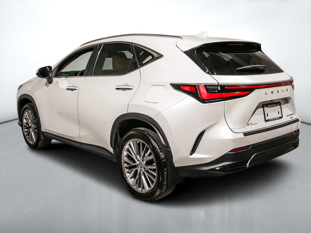 Lexus NX 350H 2023 d’occasion à vendre - 6