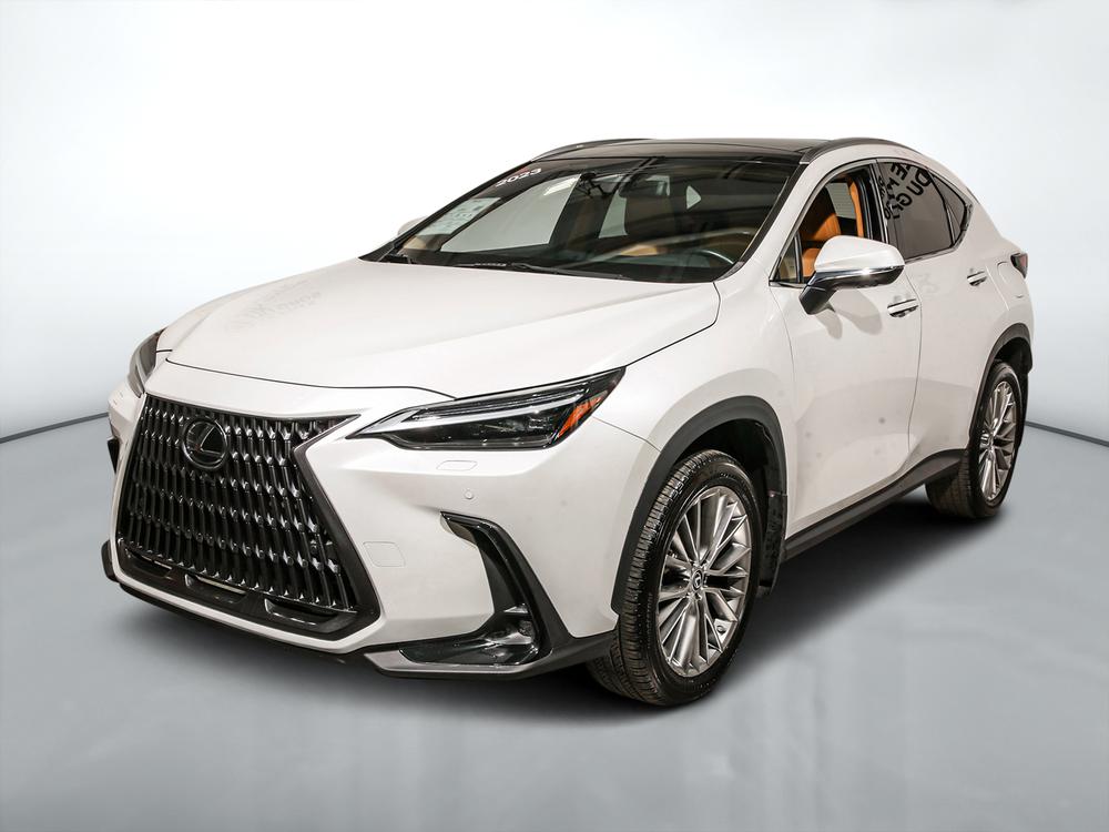 Lexus NX 350H 2023 d’occasion à vendre - 8