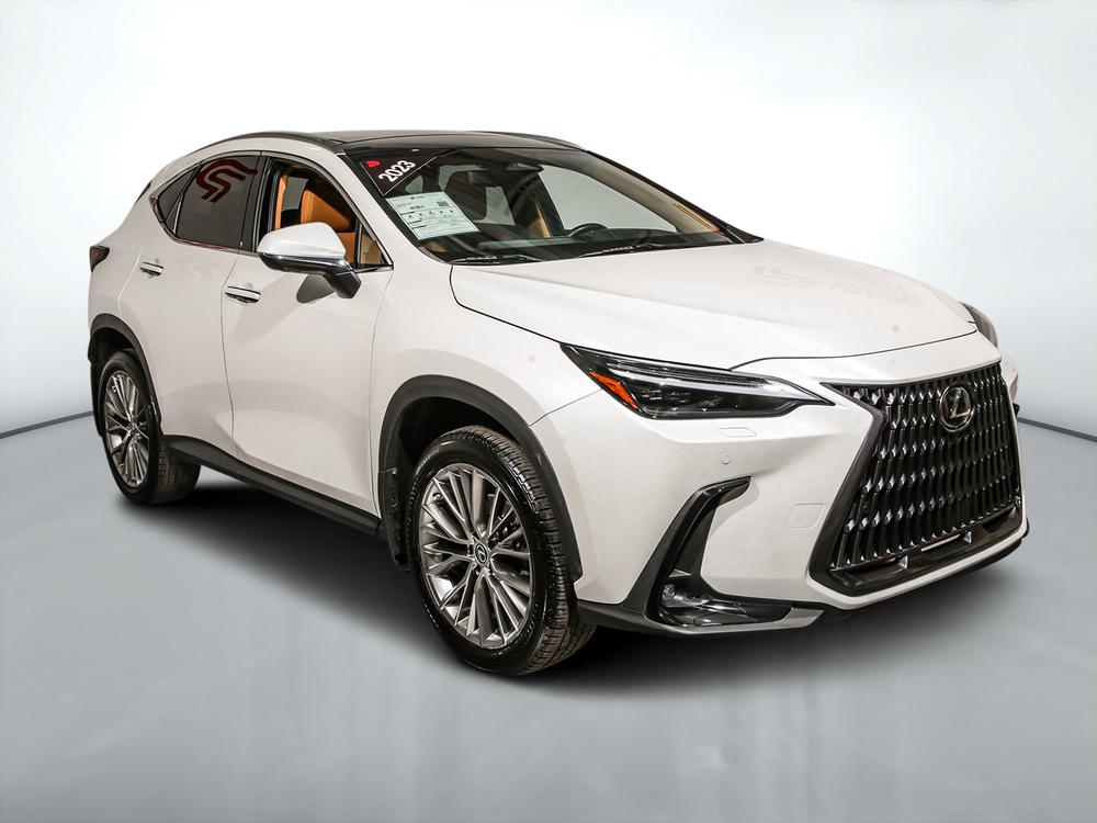 Lexus NX 350H 2023 d’occasion à vendre