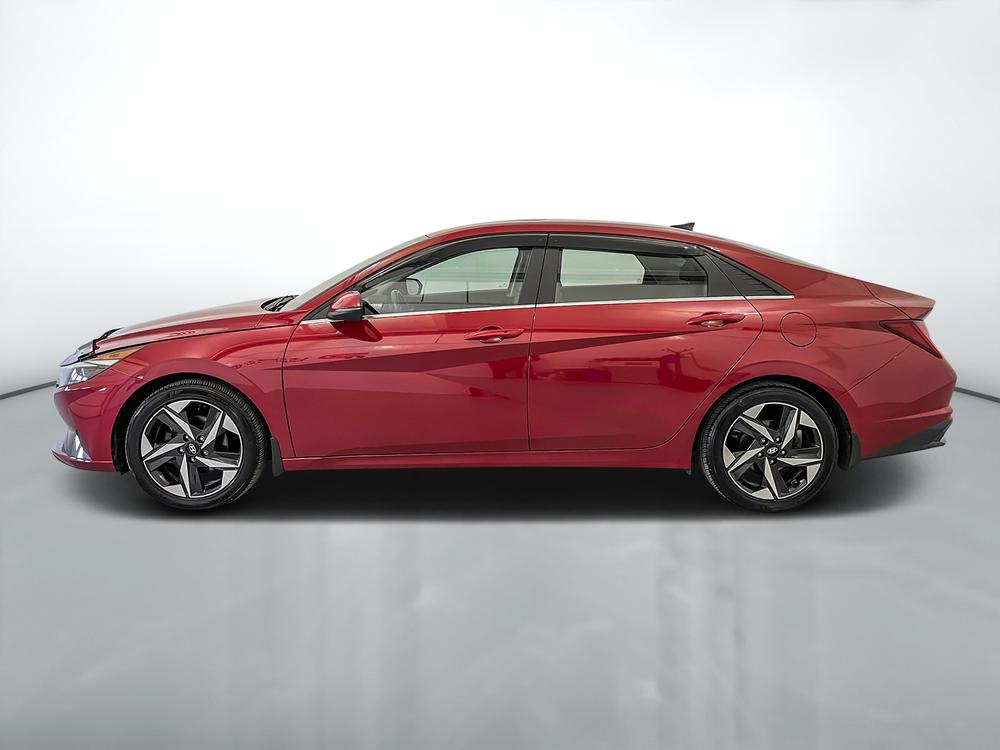 Hyundai Elantra Luxury 2023 d’occasion à vendre - 4