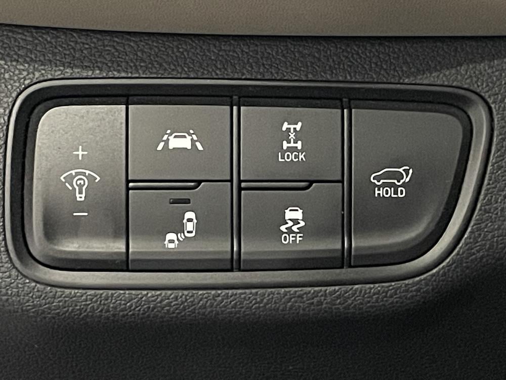 Hyundai Santa Fe Luxury AWD 2020 d’occasion à vendre - 22