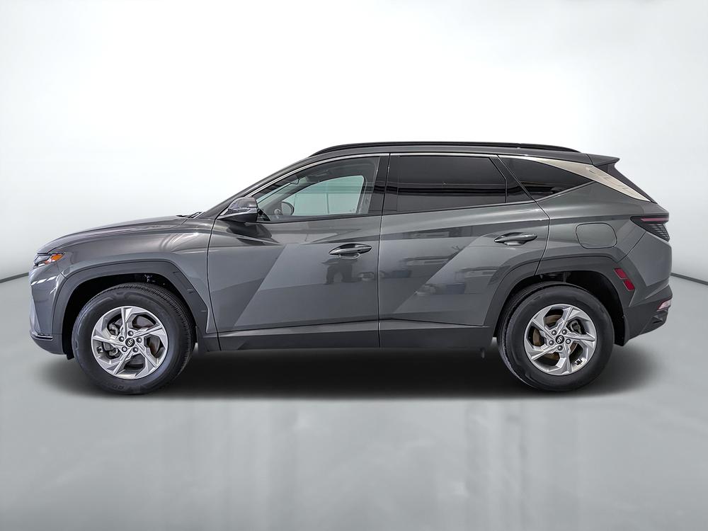 Hyundai Tucson Preferred Trend package AWD 2023 d’occasion à vendre - 4