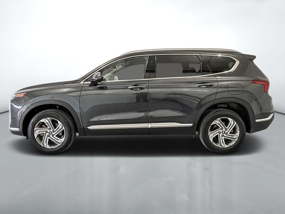 Hyundai Santa Fe Preferred AWD 2023 d’occasion à vendre - 4