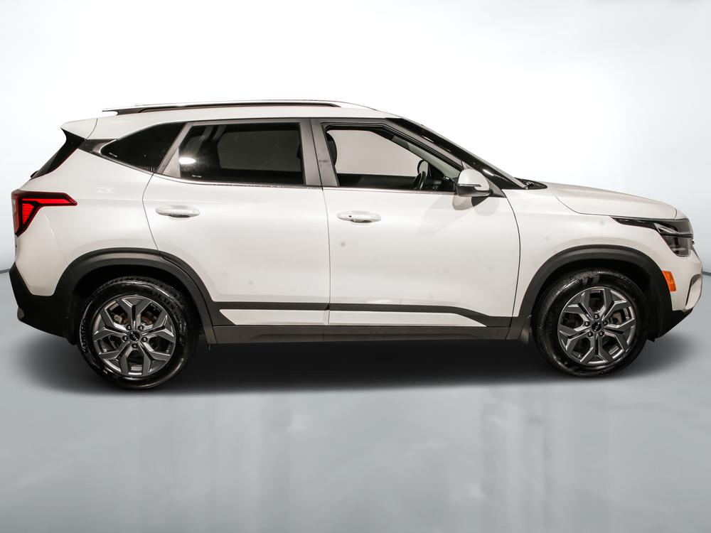 Kia Seltos EX 2024 d’occasion à vendre - 2