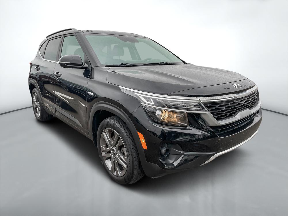Kia Seltos EX