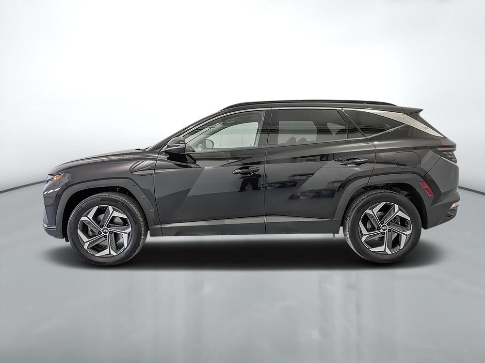 Hyundai Tucson hybride Luxury AWD 2023 d’occasion à vendre - 4
