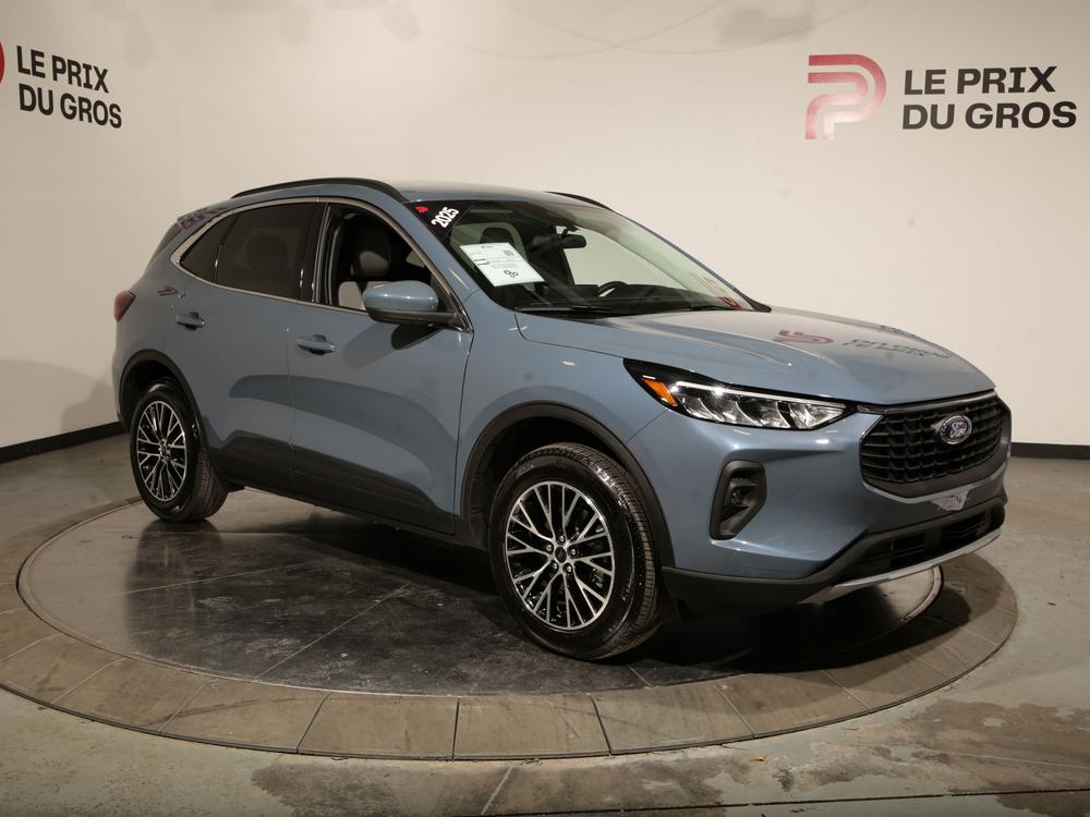 Ford Escape VHR TA