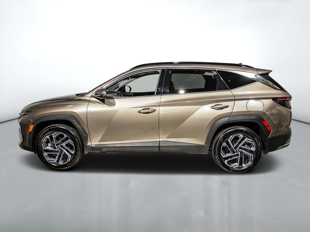 Hyundai Tucson hybride ULTIMATE 2025 d’occasion à vendre - 7