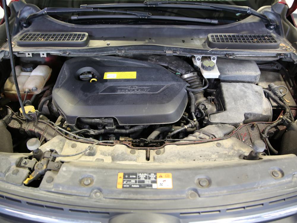 Ford Escape SE 2016 d’occasion à vendre - 35