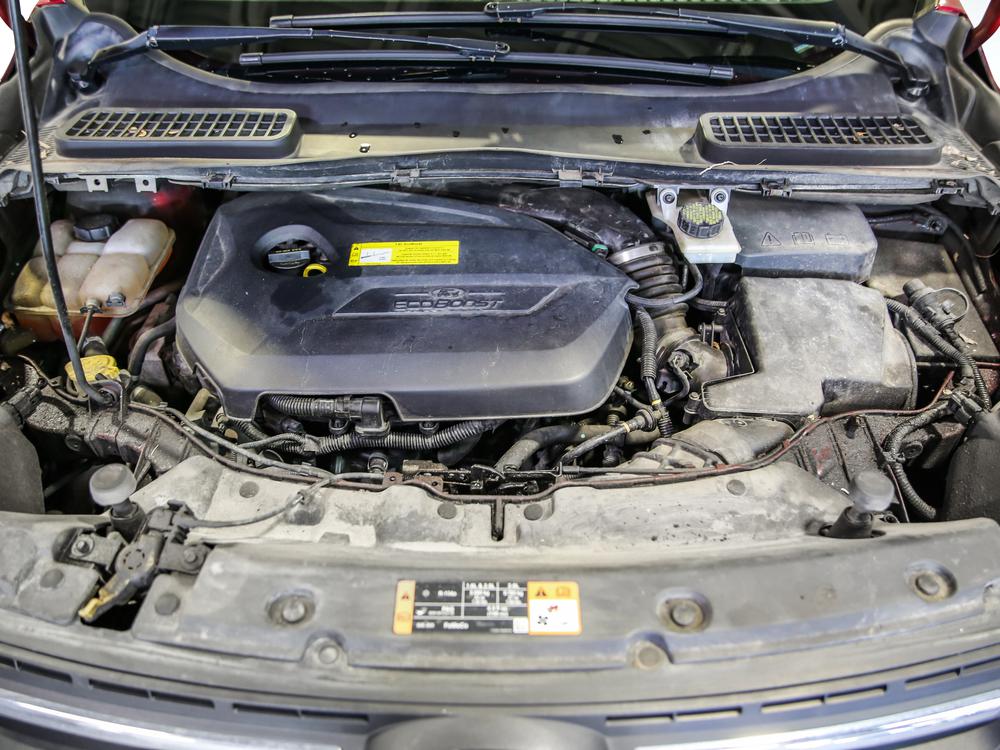 Ford Escape SE 2016 d’occasion à vendre - 35