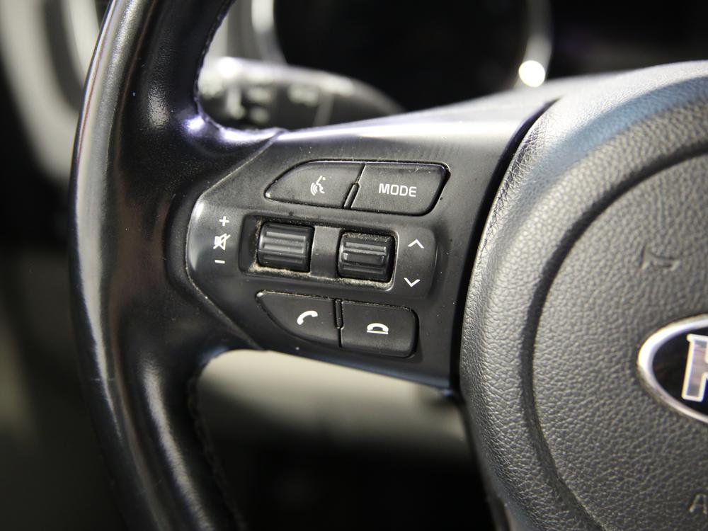 Kia Sedona LX 2019 d’occasion à vendre - 19