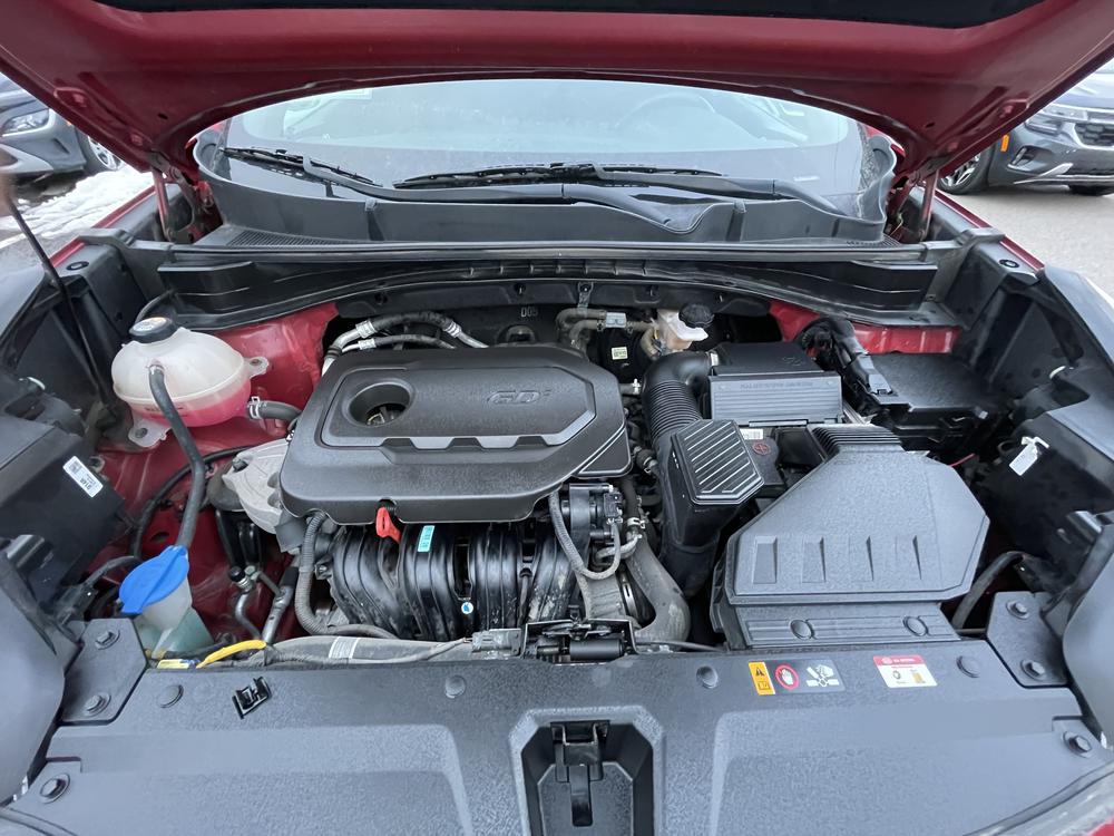 Kia Sportage EX 2022 d’occasion à vendre - 29