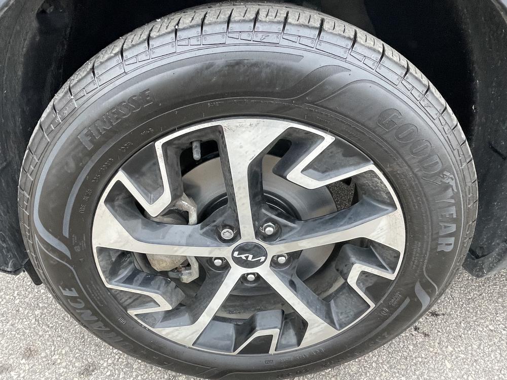 Kia Sportage EX 2024 d’occasion à vendre - 9