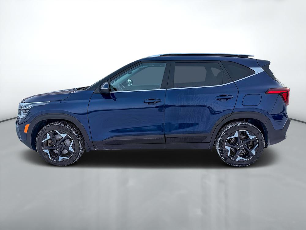Kia Seltos EX PREMIUM AWD 2024 d&rsquo;occasion à vendre - 4