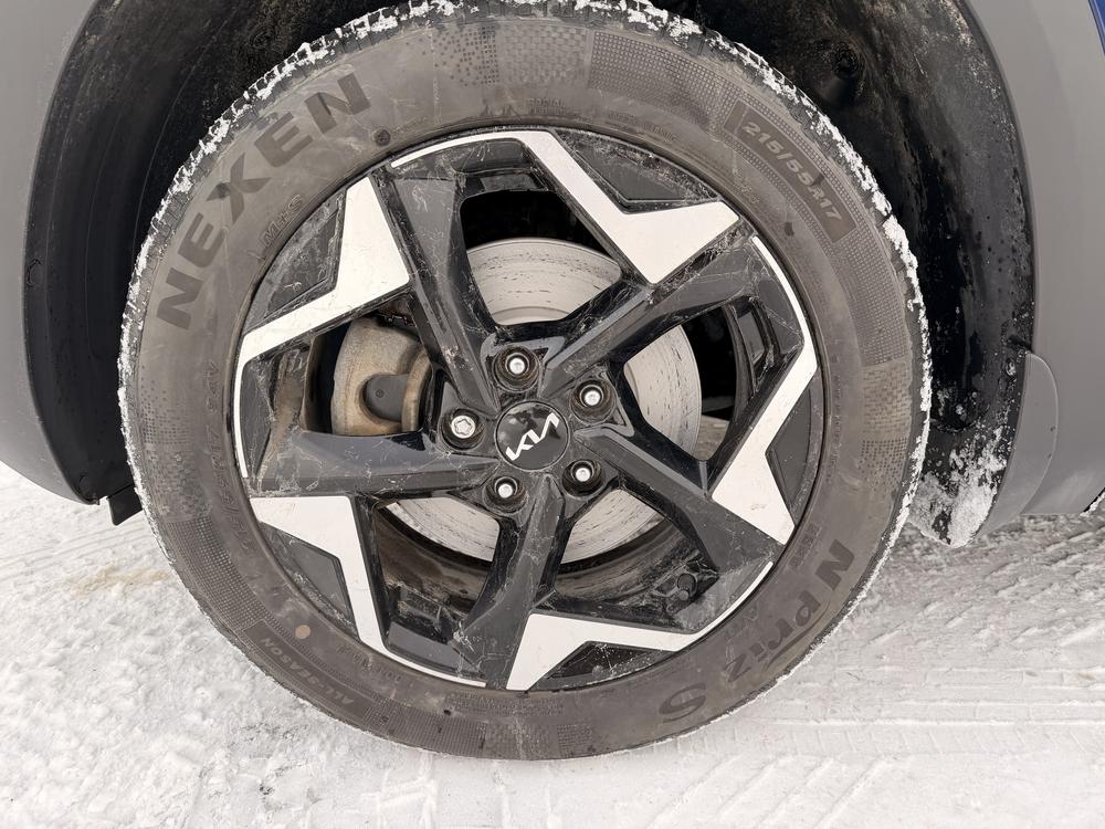 Kia Seltos EX PREMIUM AWD 2024 d&rsquo;occasion à vendre - 11