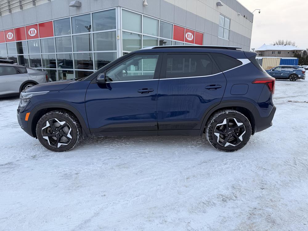Kia Seltos EX PREMIUM AWD 2024 d&rsquo;occasion à vendre - 4