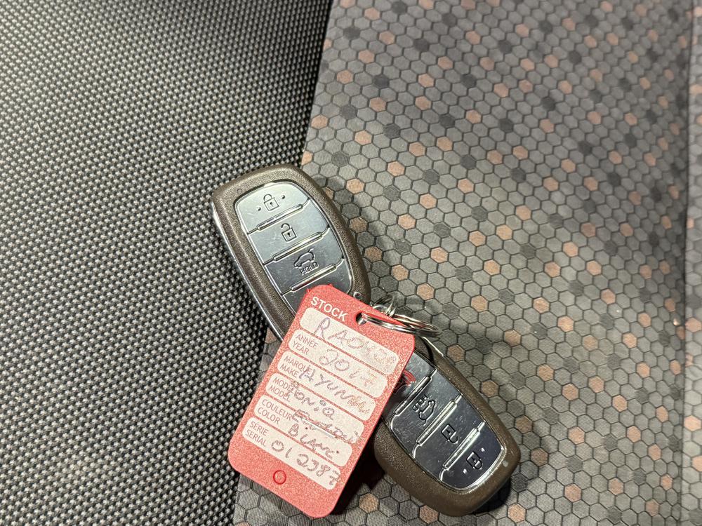 Hyundai Ioniq électrique LIMITED 2017 d&rsquo;occasion à vendre - 35