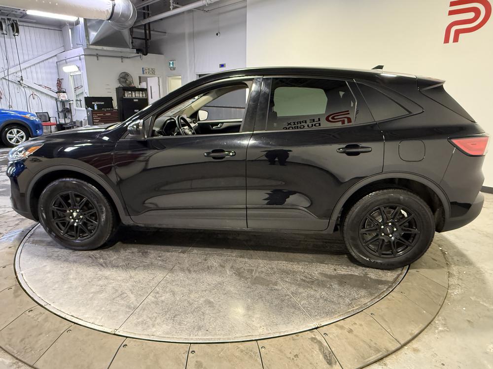 Ford Escape se 2020 d&rsquo;occasion à vendre - 6