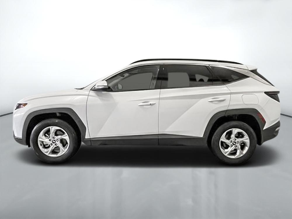 Hyundai Tucson Preferred Trend package AWD 2024 d&rsquo;occasion à vendre - 4