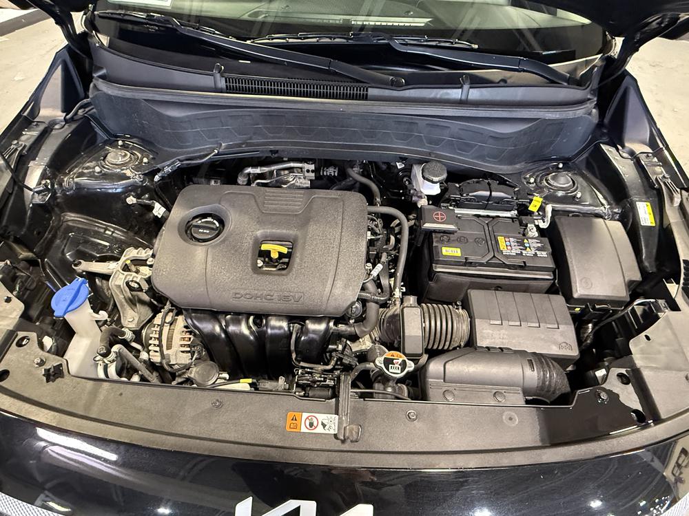 Kia Seltos LX 2024 d&rsquo;occasion à vendre - 31