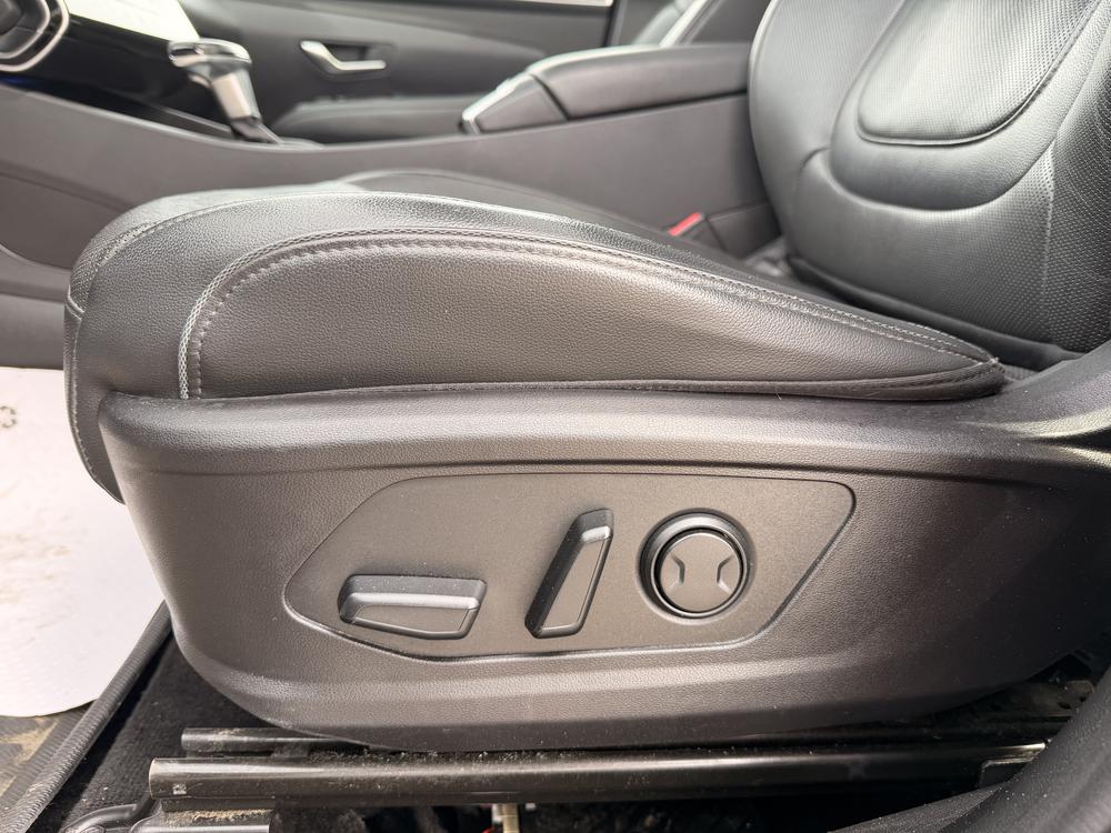 Hyundai Santa Cruz ULTIMATE AWD 2022 d&rsquo;occasion à vendre - 14