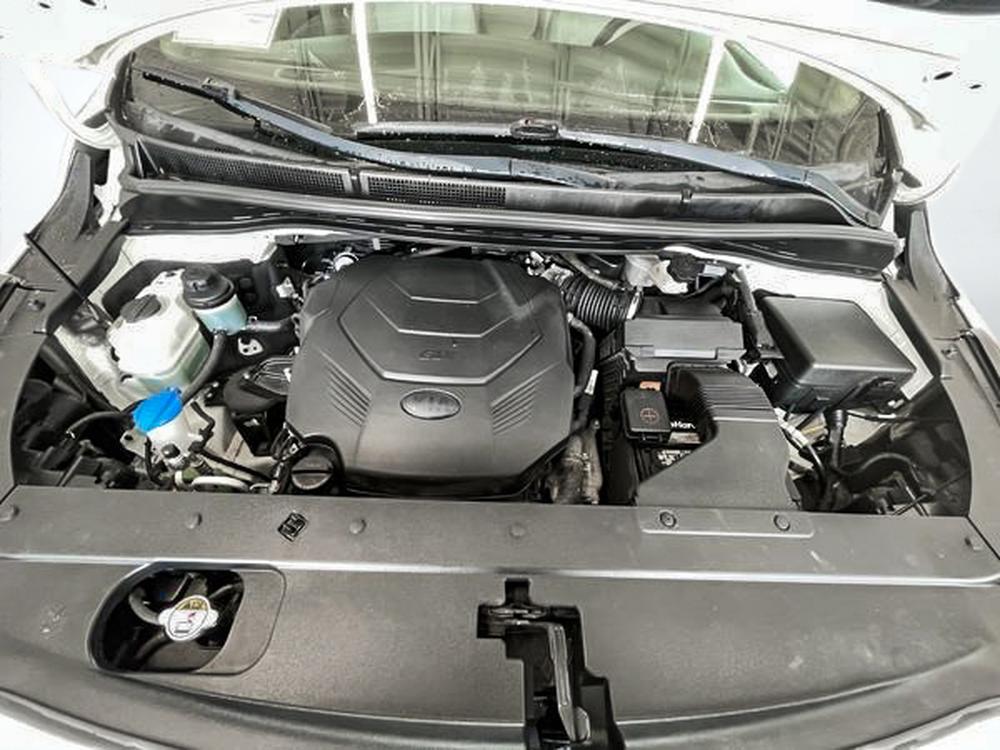 Kia Sedona LX 2020 d&rsquo;occasion à vendre - 32