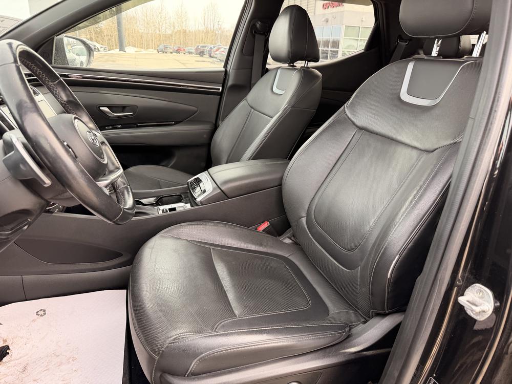 Hyundai Santa Cruz ULTIMATE AWD 2022 d&rsquo;occasion à vendre - 13