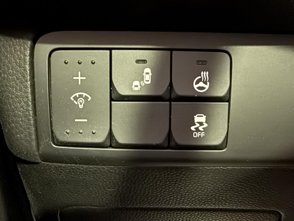 Kia Soul EX PREMIUM 2019 d&rsquo;occasion à vendre - 17