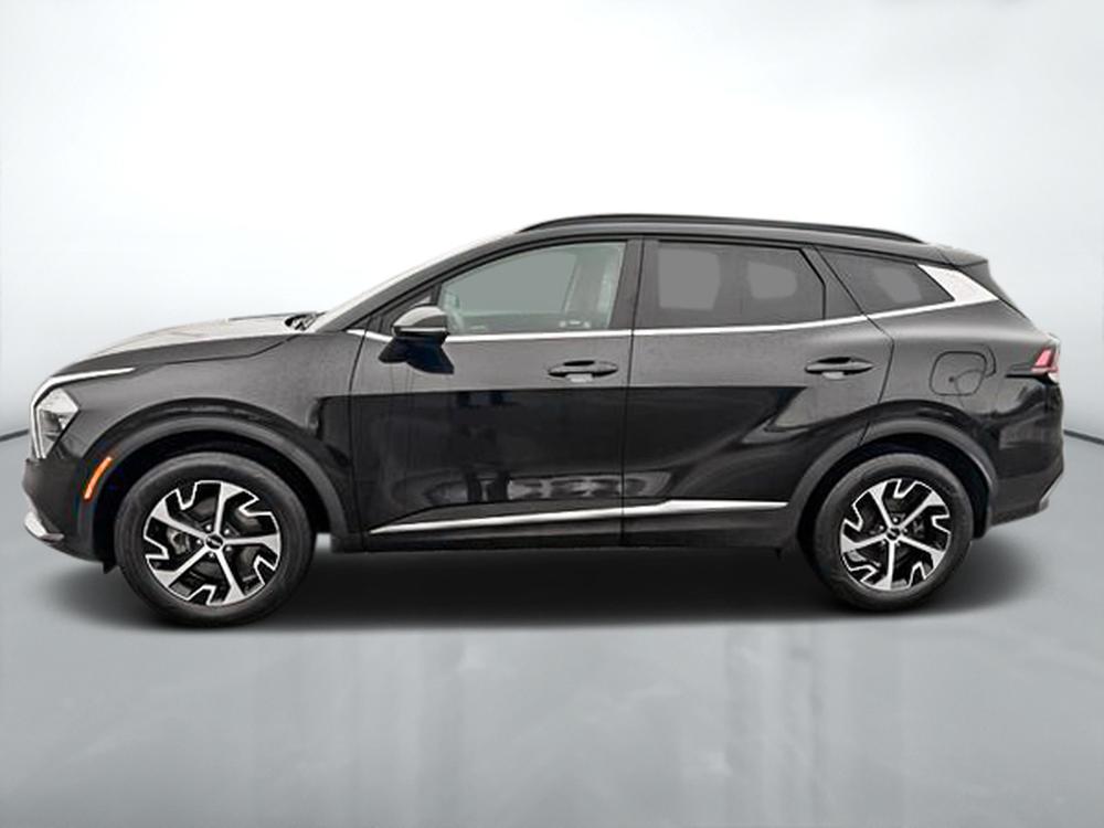 Kia Sportage EX AWD 2024 d&rsquo;occasion à vendre - 4