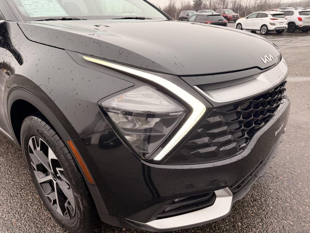 Kia Sportage EX AWD 2024 d&rsquo;occasion à vendre - 11
