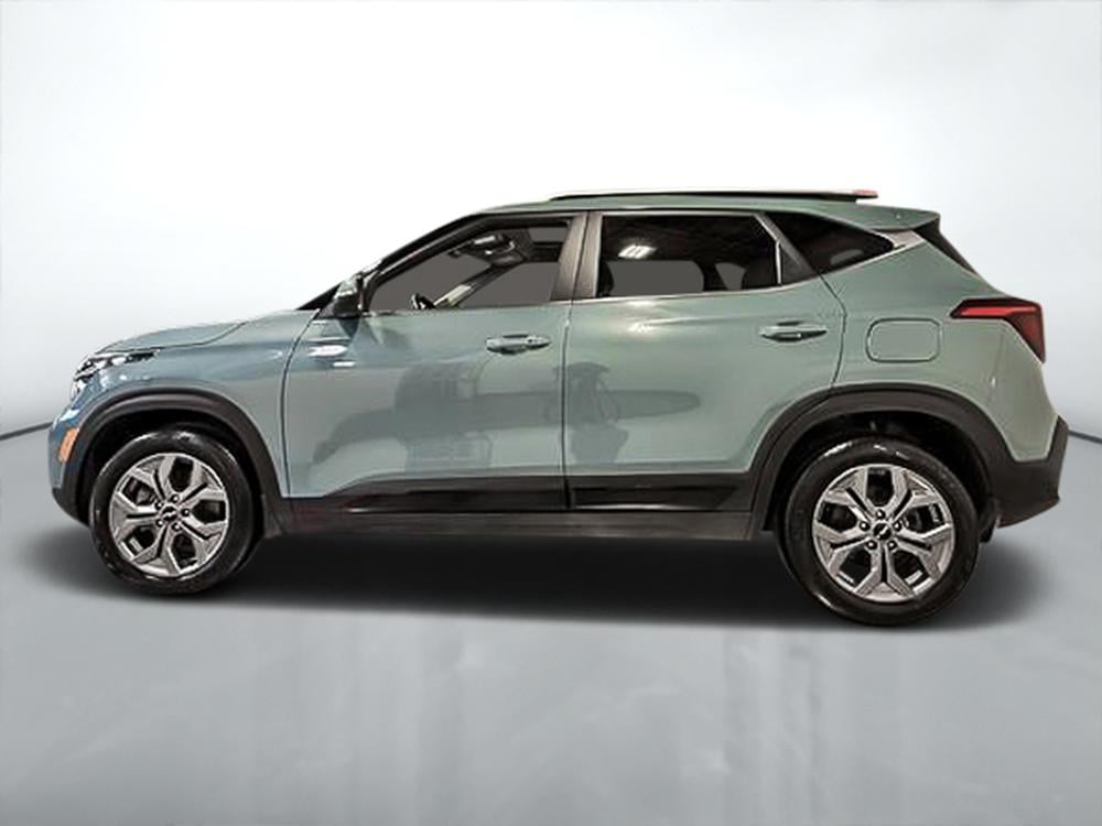 Kia Seltos EX 2025 d&rsquo;occasion à vendre - 7