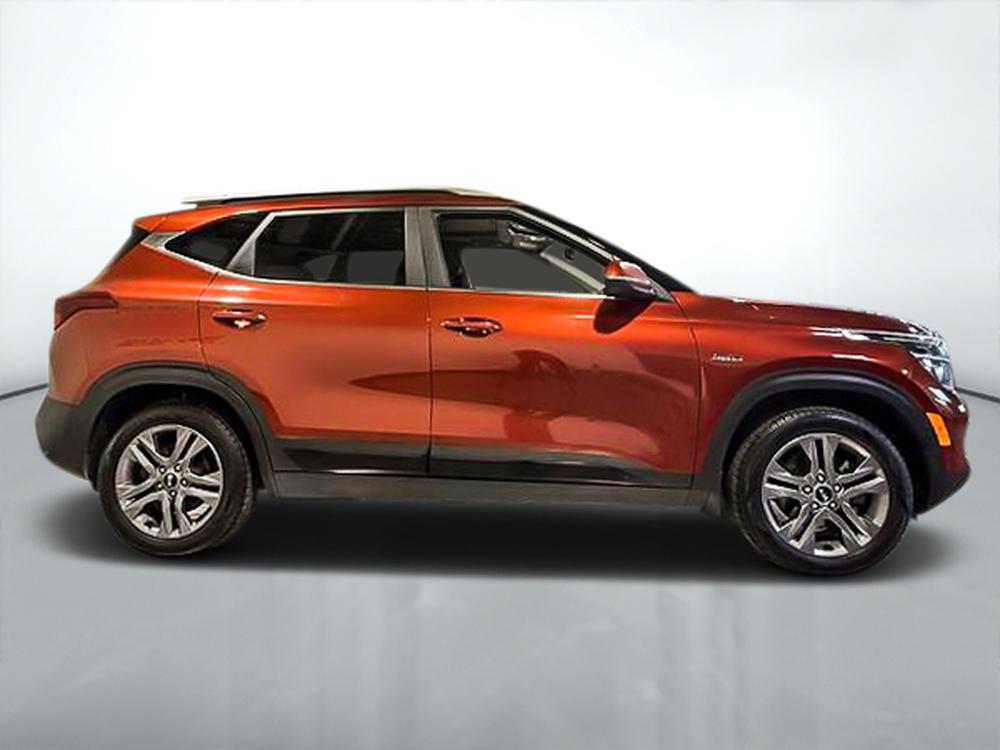 Kia Seltos EX 2021 d&rsquo;occasion à vendre - 2
