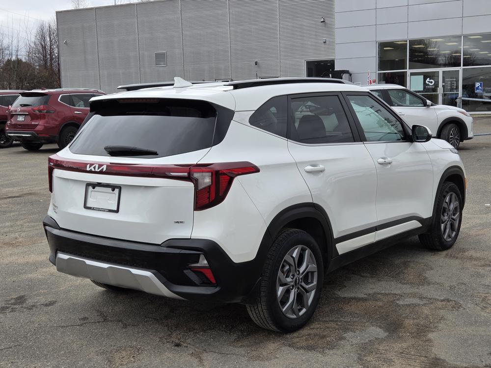 Kia Seltos EX 2024 d&rsquo;occasion à vendre - 6
