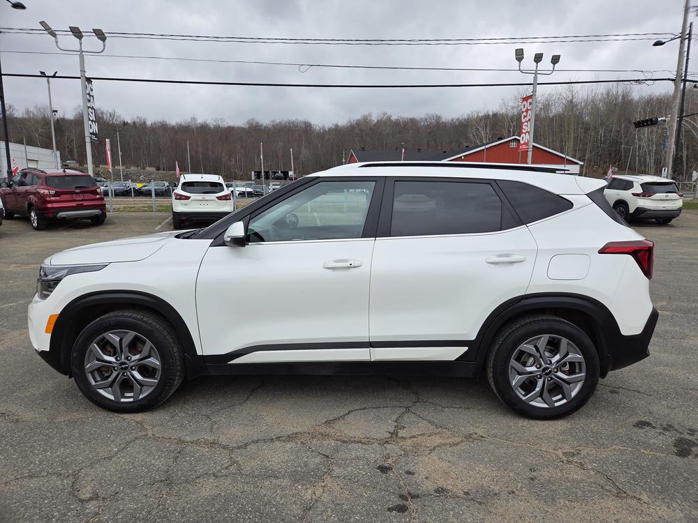 Kia Seltos EX 2024 d&rsquo;occasion à vendre - 2