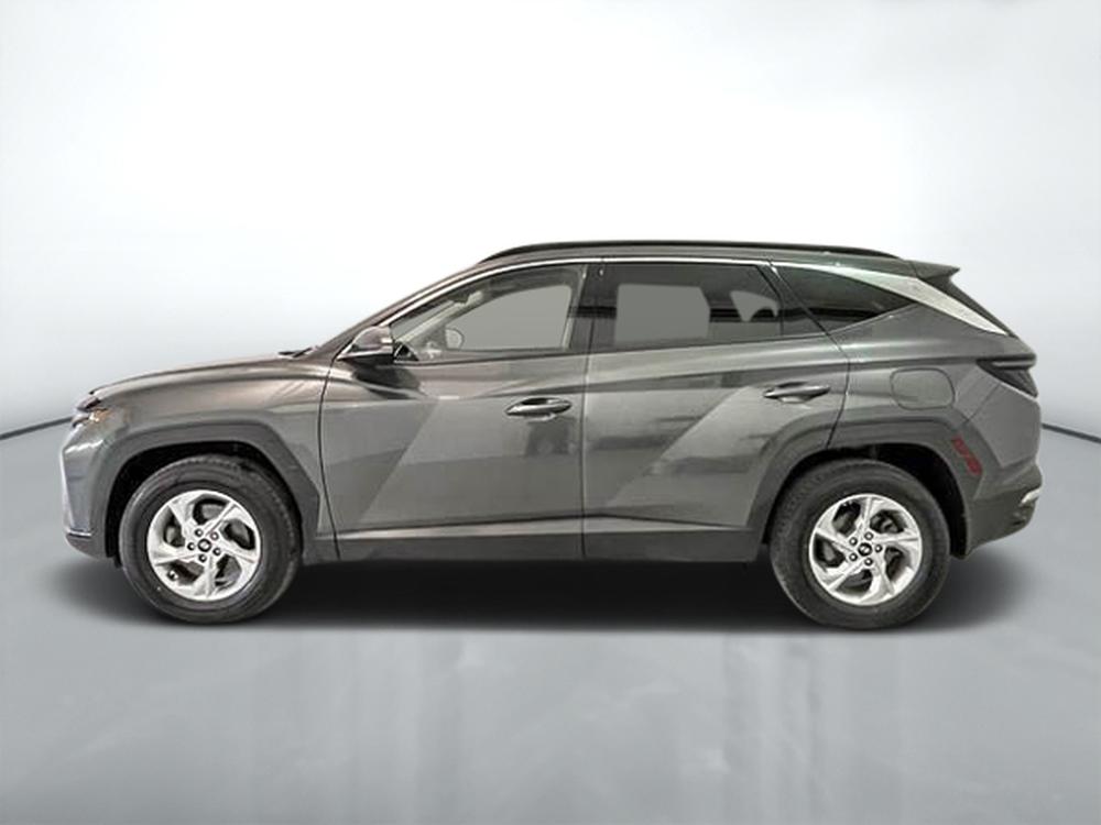 Hyundai Tucson Preferred Trend package AWD 2023 d&rsquo;occasion à vendre - 4