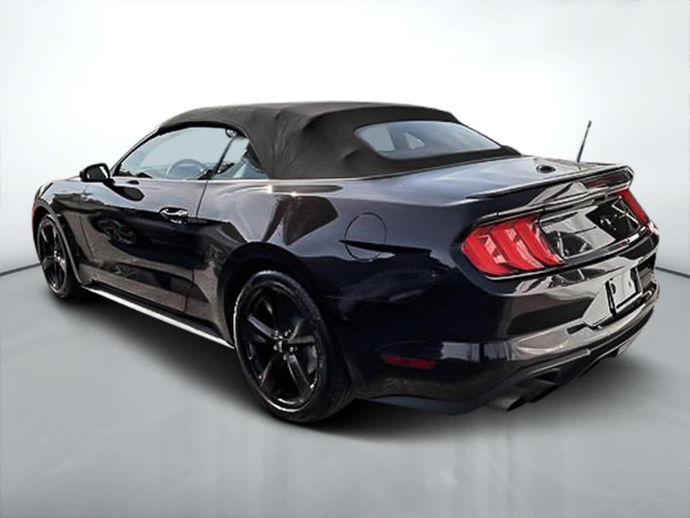 Ford Mustang ECOBOOST PREMIUM 2023 d&rsquo;occasion à vendre - 7