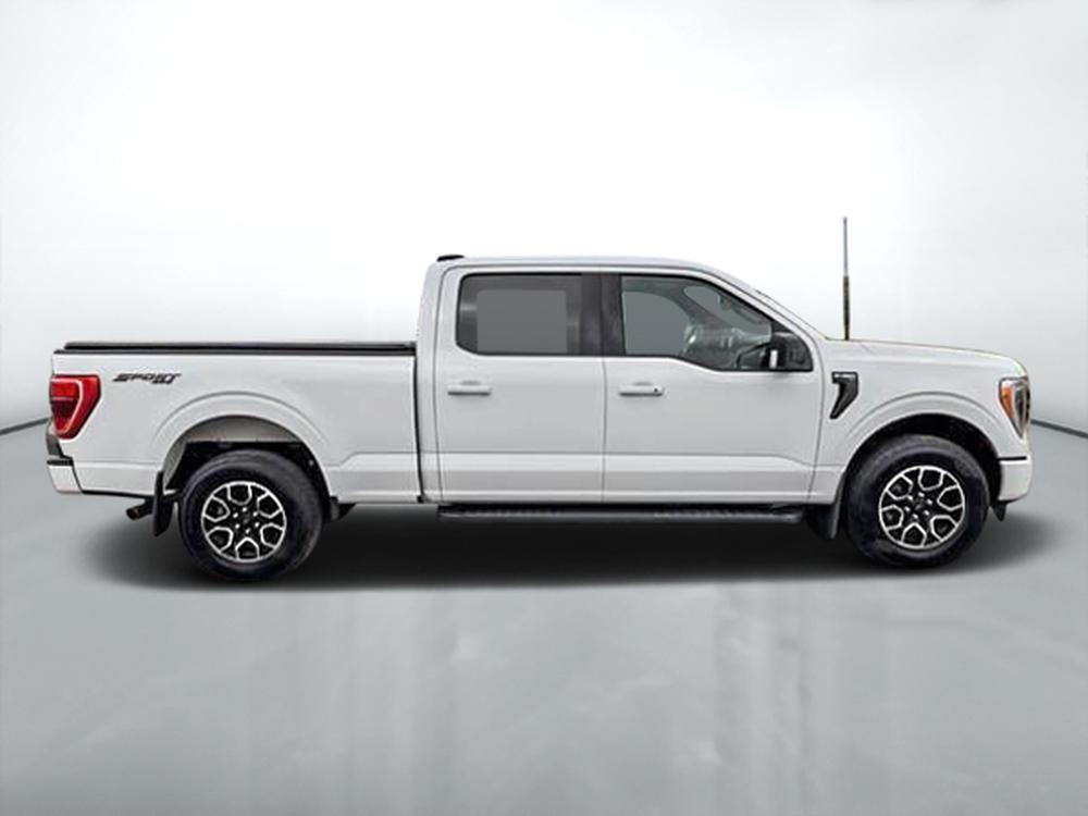Ford F-150 XLT 2023 d&rsquo;occasion à vendre - 9