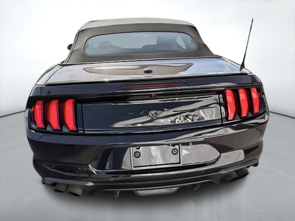 Ford Mustang ECOBOOST PREMIUM 2023 d&rsquo;occasion à vendre - 8
