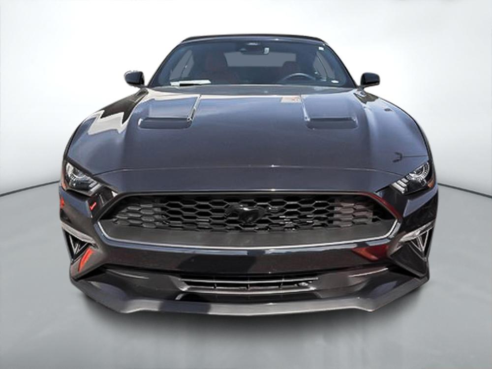 Ford Mustang ECOBOOST PREMIUM 2023 d&rsquo;occasion à vendre - 3