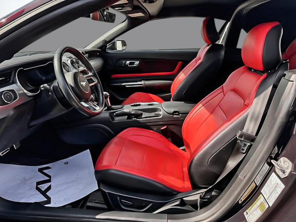 Ford Mustang ECOBOOST PREMIUM 2023 d&rsquo;occasion à vendre - 16
