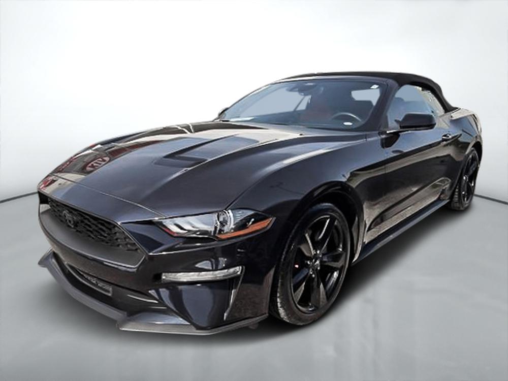 Ford Mustang ECOBOOST PREMIUM 2023 d&rsquo;occasion à vendre - 4
